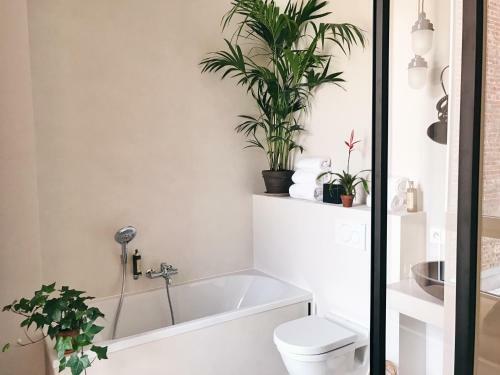 Hotel Jardin Secret