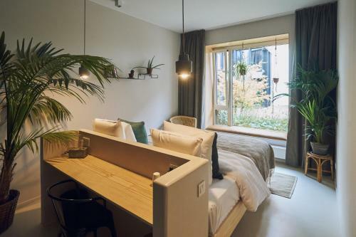 Hotel Jardin Secret