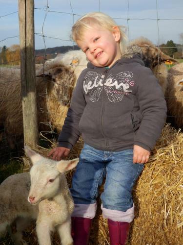 Bed & Breakfast Hoeve De Schapenkop
