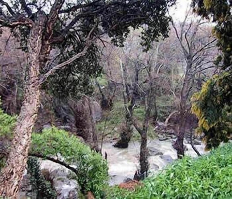 Hotel Mes�n De Sancho