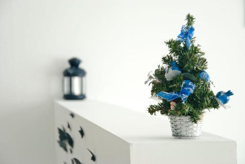 Apartament On Pulihova