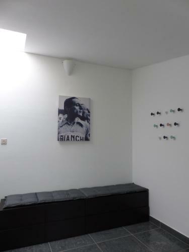 Flandriens
