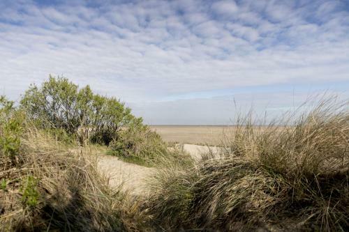 Camping Veld & Duin