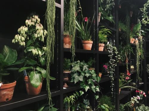Hotel Jardin Secret