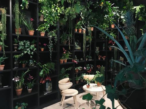 Hotel Jardin Secret