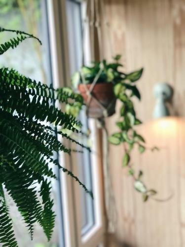 Hotel Jardin Secret