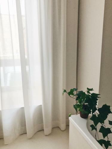 Hotel Jardin Secret