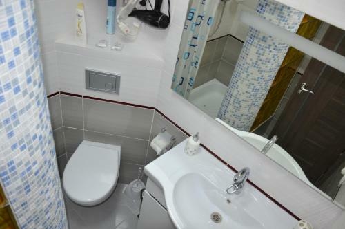 Business Apartment Central