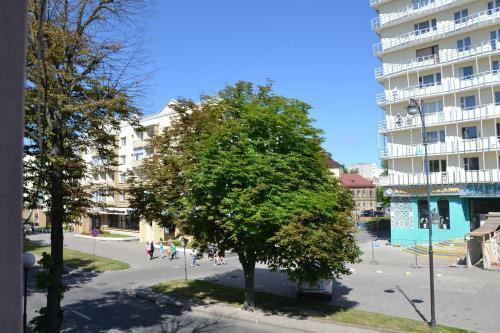Business Apartment Central