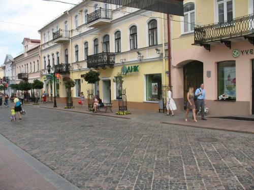 Apartment On Sovetskaya 15a