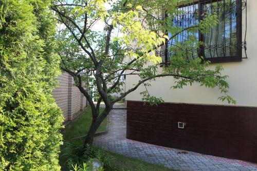 Hostal Guest House Camelia