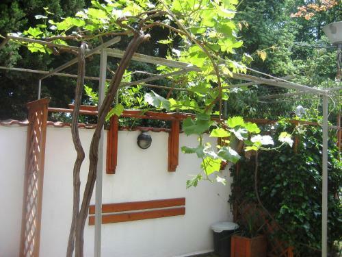 Hostal Guest House Yanina