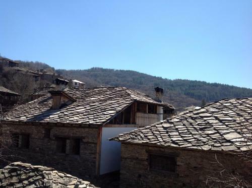 Hostal Bazoteva House