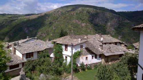 Hostal Bazoteva House