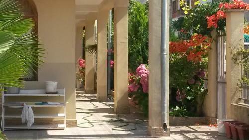 Hostal Guesthouse Kadieva