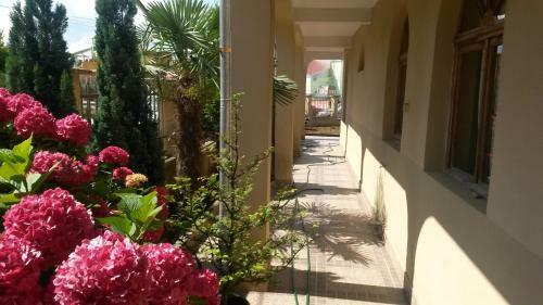 Hostal Guesthouse Kadieva