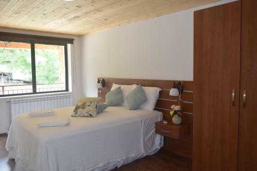 Hostal Koshov Guest House