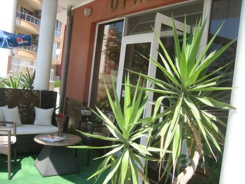 Hostal Guest House Orchidea