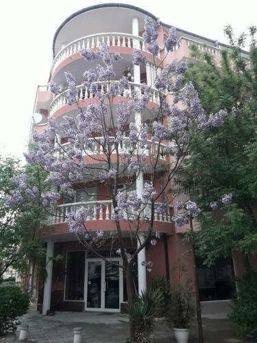 Hostal Guest House Orchidea
