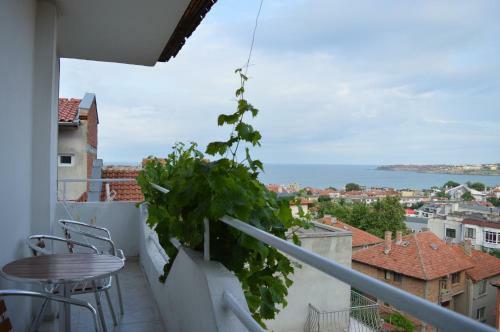 Family Hotel Sofi