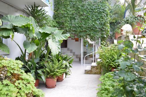 Family Hotel Sofi