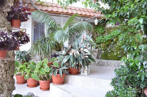 Family Hotel Sofi