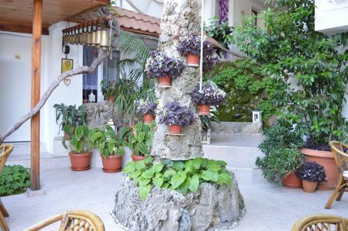 Family Hotel Sofi