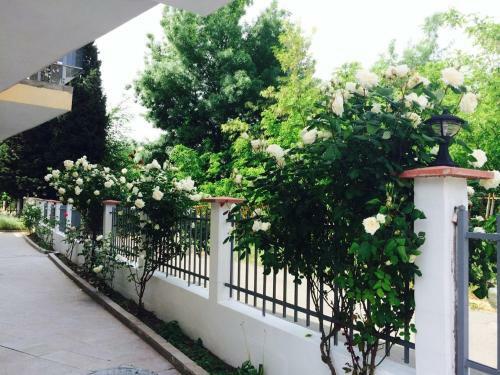 Black Sea View Apartments