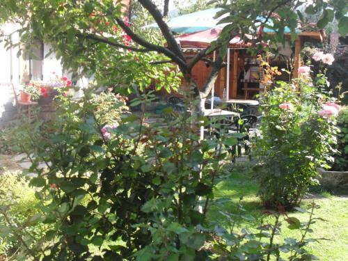 Hostal Guest House Stela