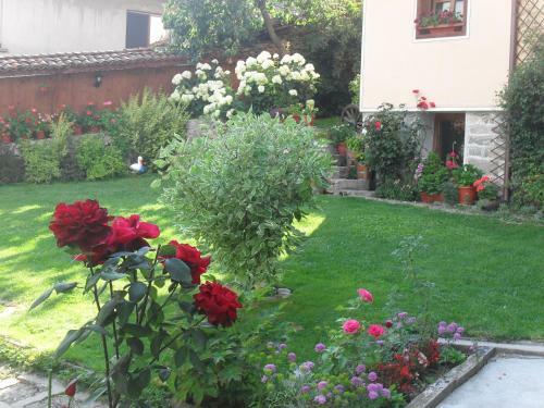 Hostal Guest House Stela