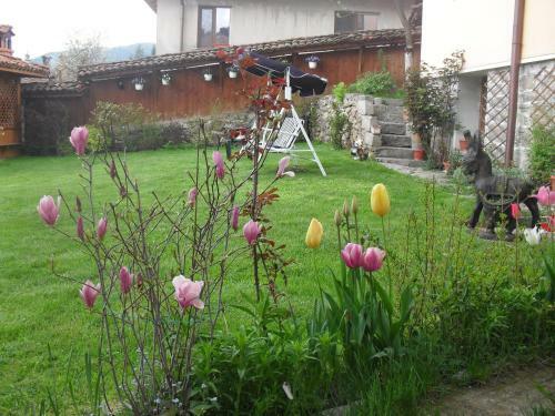 Hostal Guest House Stela