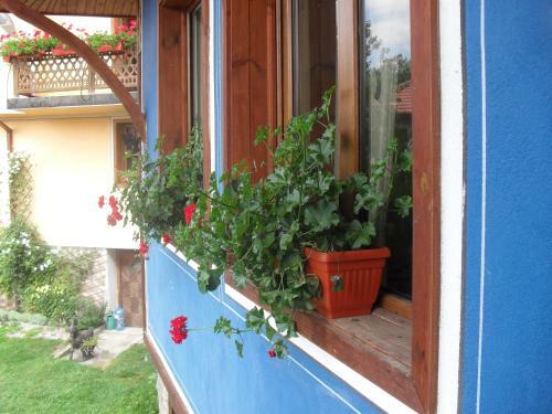 Hostal Guest House Stela
