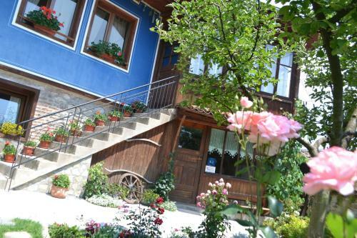 Hostal Guest House Stela