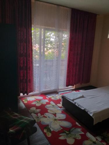 Hostal Apartment Lachevi