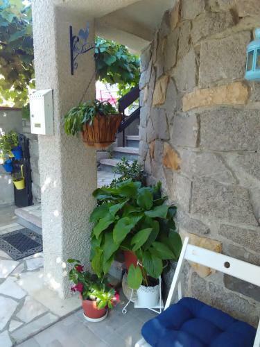 Hostal Guest House Fotini 1