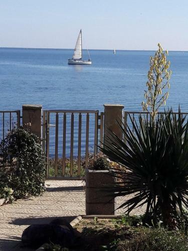 Hostal Guest House Skalite