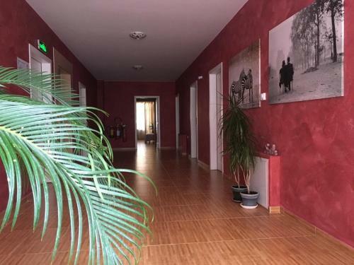 Hotel Stilyana - Adults Only