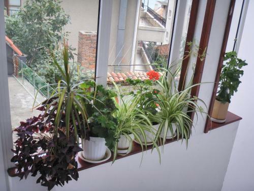 Hostal Guest House Prodanovi