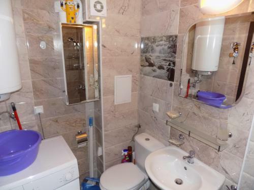 Apartment Rodina 2
