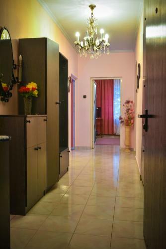 Apartment Elegance