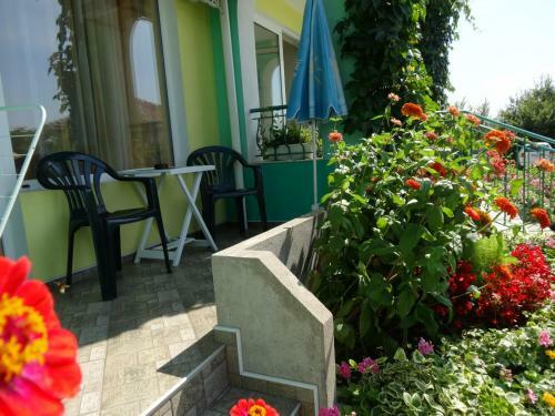 Hostal Guesthouse Kamelia