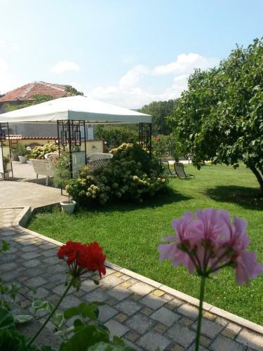 Hostal Guesthouse Kamelia