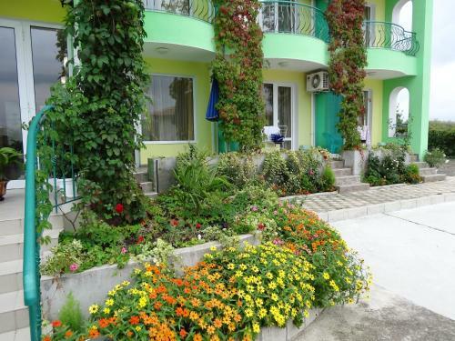 Hostal Guesthouse Kamelia