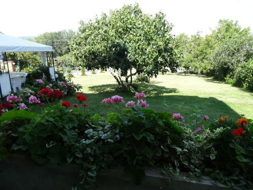 Hostal Guesthouse Kamelia