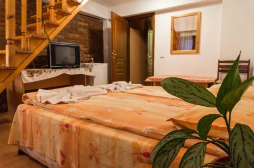 Hostal Villa Vera Guest House