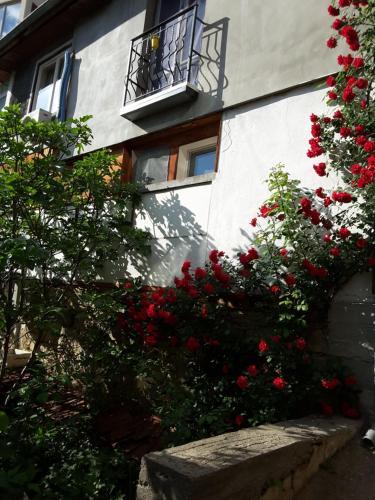 Hostal Diana Guesthouse