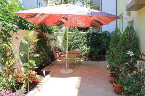 Hostal Stela Guest House