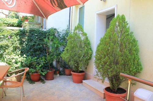 Hostal Stela Guest House