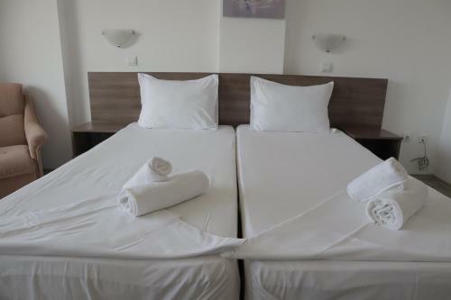 Family Hotel Dreams