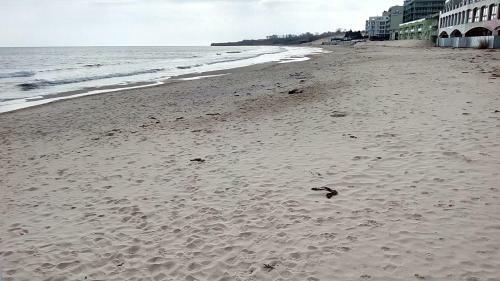 Nesebar Vigo Panorama Apartments